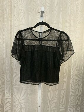 Zara Basic Black Lace Sheer Flutter Sleeve Blouse